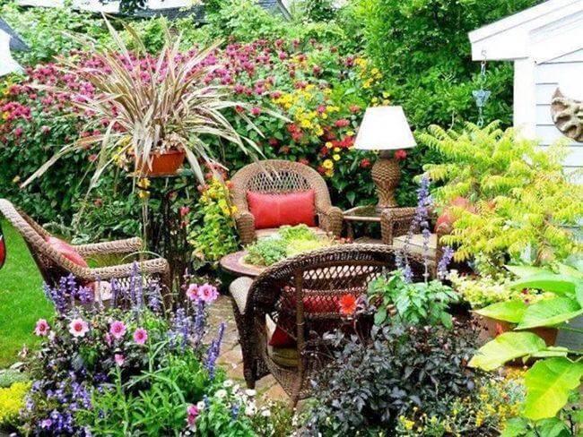 Colorful Plants to Decorate Your Garden Ideas