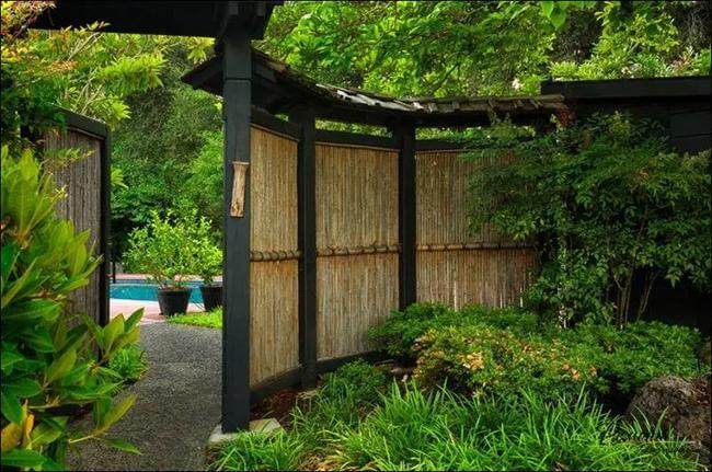 35+ Fantastic Gardening Ideas With Bamboo Trees For Creating A Picturesque Landscape