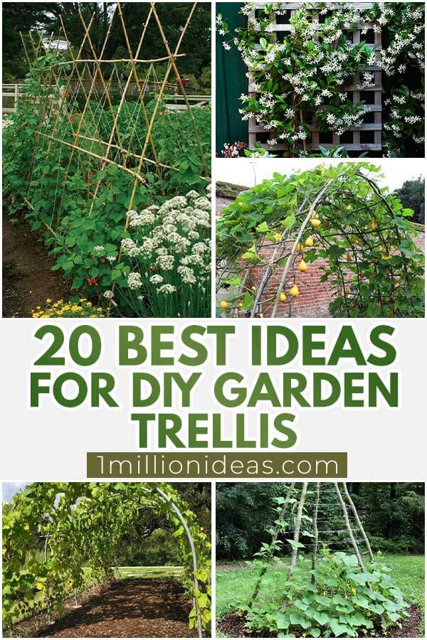 20 Best Ideas For DIY Garden Trellis
