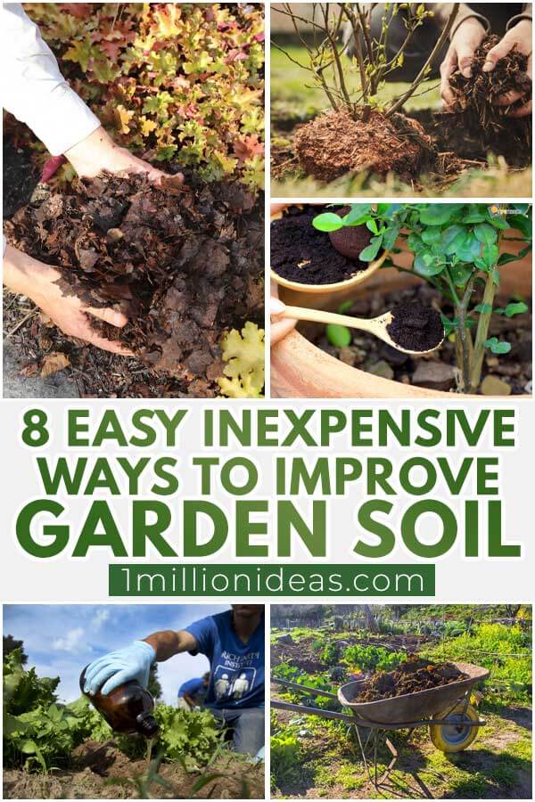 8 Easy Inexpensive Ways To Improve Garden Soil