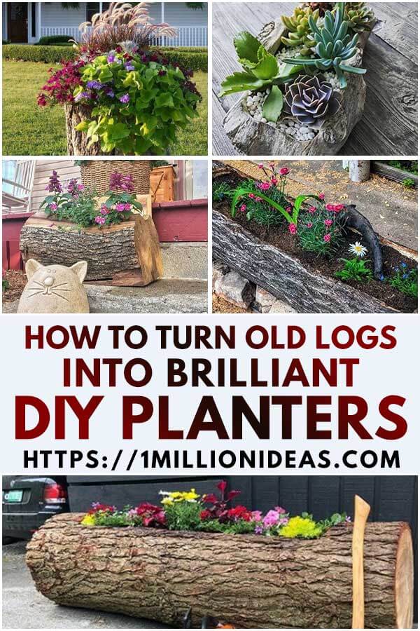 How To Turn Old Logs Into Brilliant Diy Planters