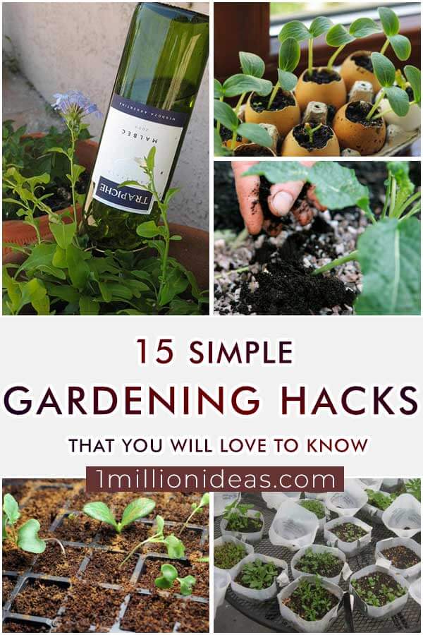 15-Simple-Gardening-Hacks-That-You-Will-Love-To-Know