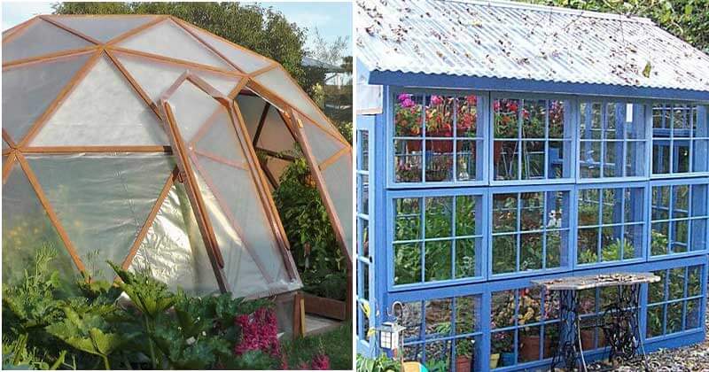 19 Beautiful Greenhouses For Your Backyard