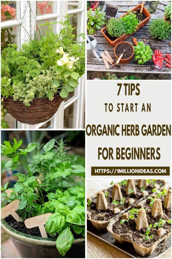 7-Tips-To-Start-An-Organic-Herb-Garden-For-Beginners