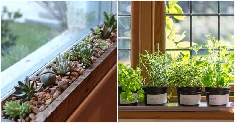15-Inspiring-Windowsill-Garden-Ideas-You-Should-Try-ft