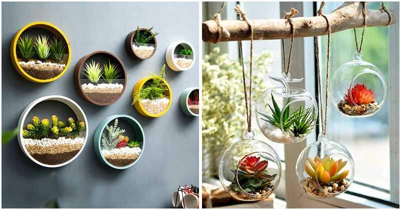 20-Fabulous-Round-Hanging-Wall-Planters-ft