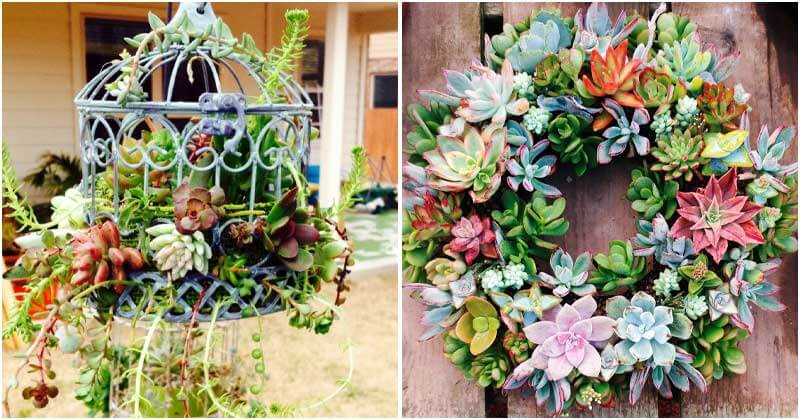 30-Cute-DIY-Succulent-Planters-ft1