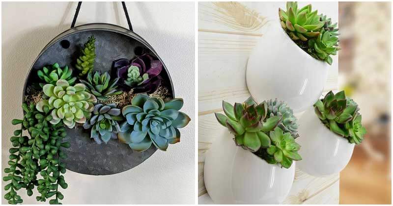 30-Fantastic-Succulent-Wall-Ideas-To-Try-ft