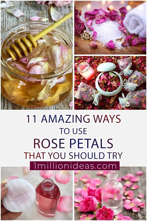 11 Amazing Ways To Use Rose Petals That You Should Try