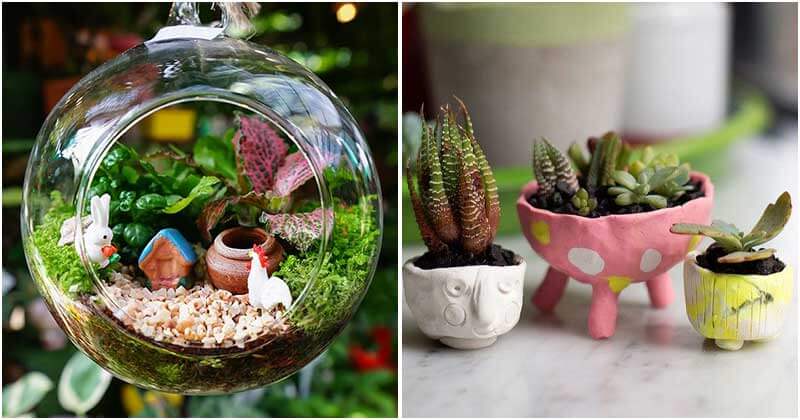 15-Chic-Mini-Gardens-To-Build-For-Your-Home-ft