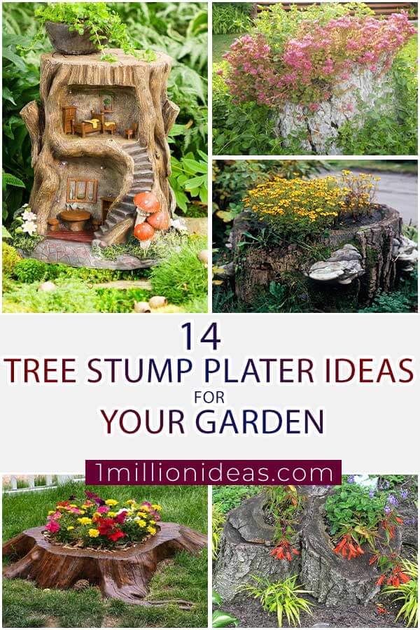 14 Fabulous Tree Stump Planter Ideas For Your Garden