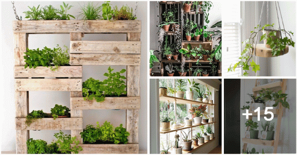 Upcycled Diy Plant Shelf Ideas