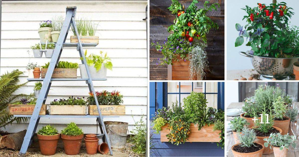 16 Container Vegetable Garden Ideas For Urban Gardeners