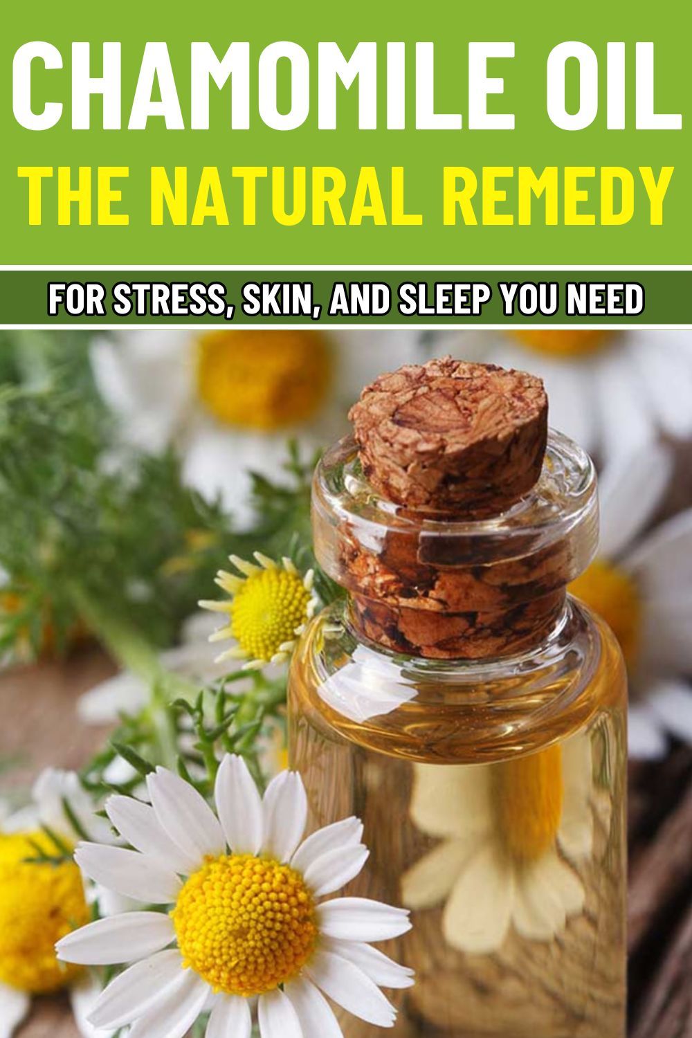 Chamomile Oil The Natural Remedy For Stress Skin And Sleep You Need