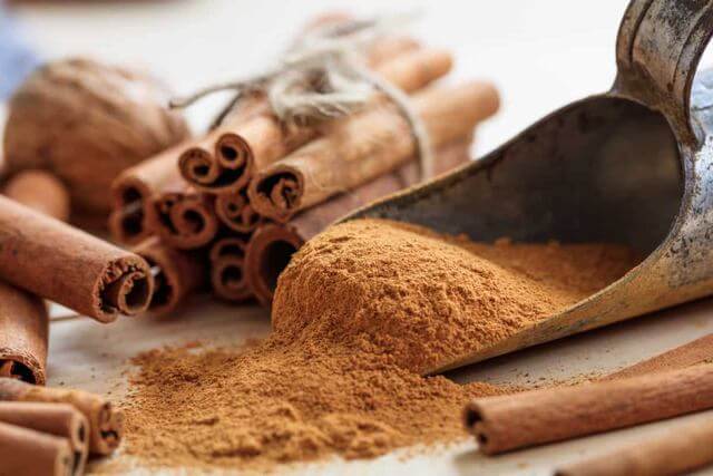 11 Amazing Cinnamon Uses In Your Garden - 93