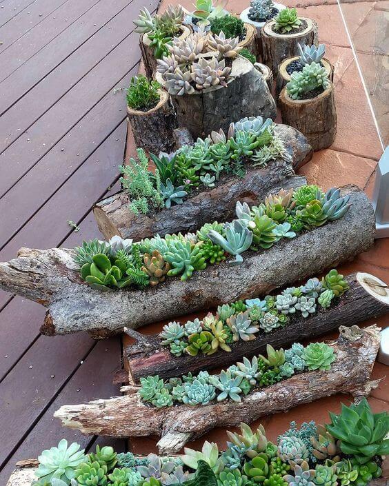 19 Amazing Succulent Porch Garden Ideas - 125