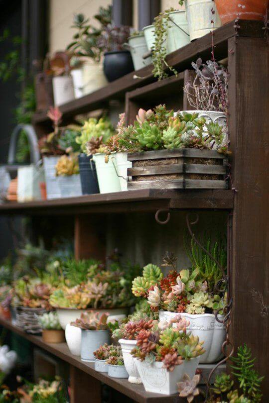 19 Amazing Succulent Porch Garden Ideas - 127