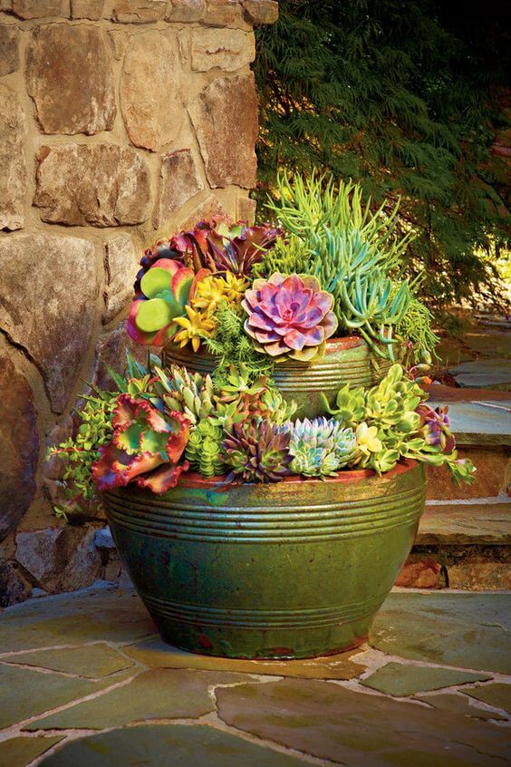 19 Amazing Succulent Porch Garden Ideas - 129