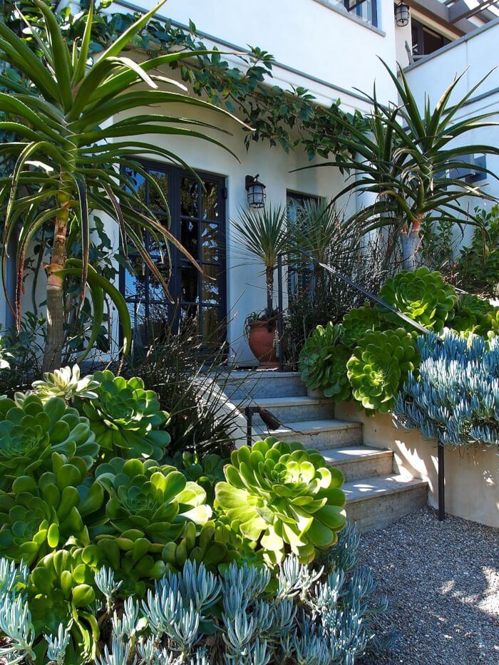 19 Amazing Succulent Porch Garden Ideas - 151