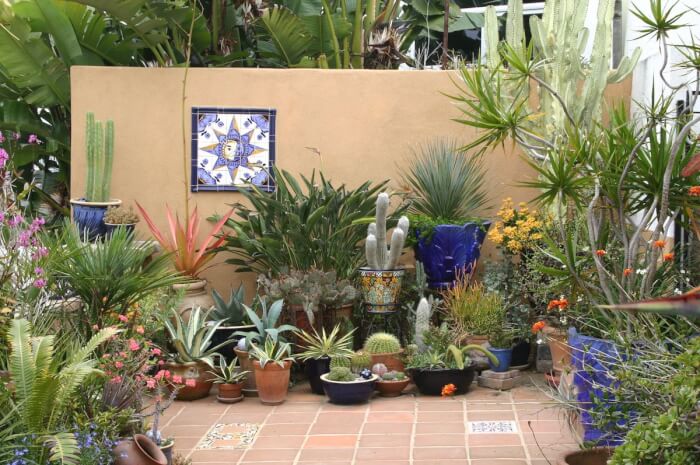 19 Amazing Succulent Porch Garden Ideas - 155