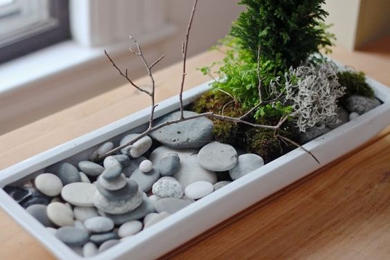 14 Astound Indoor Rock Garden Ideas - 103