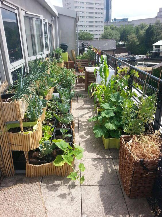 19 Edible Balcony Garden Ideas For Fresh Food All Year Round - 121