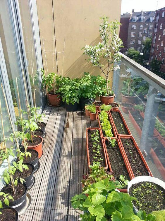 19 Edible Balcony Garden Ideas For Fresh Food All Year Round - 125