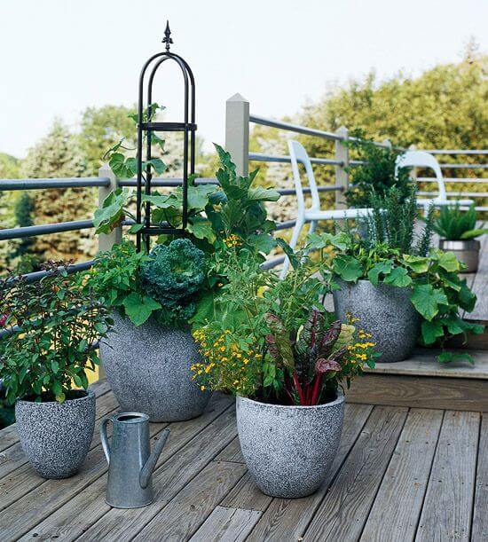 19 Edible Balcony Garden Ideas For Fresh Food All Year Round - 129