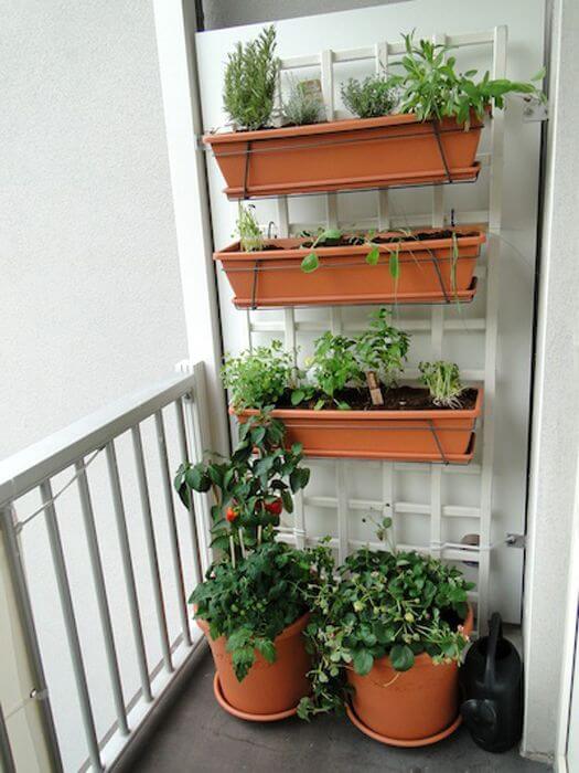 19 Edible Balcony Garden Ideas For Fresh Food All Year Round - 133
