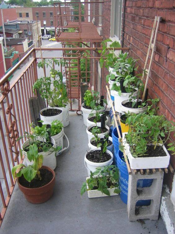 19 Edible Balcony Garden Ideas For Fresh Food All Year Round - 141