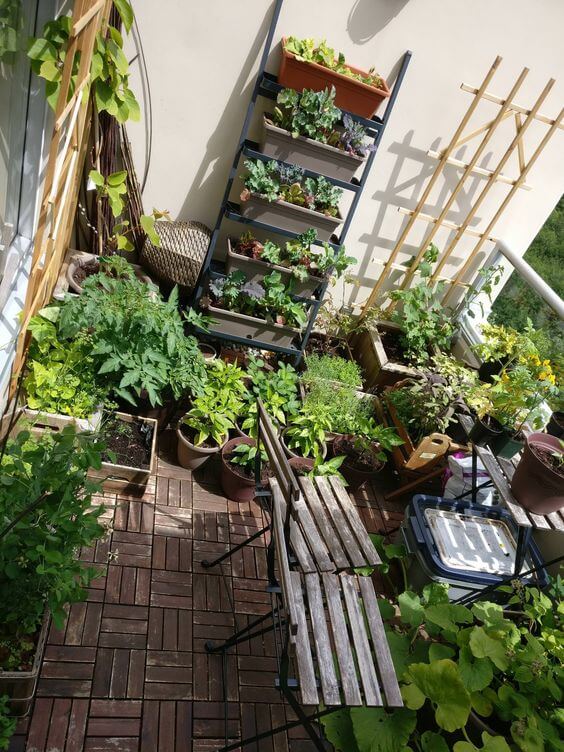 19 Edible Balcony Garden Ideas For Fresh Food All Year Round - 151