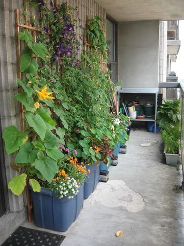 19 Edible Balcony Garden Ideas For Fresh Food All Year Round - 155
