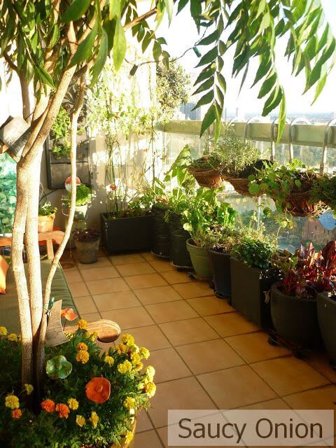 19 Edible Balcony Garden Ideas For Fresh Food All Year Round - 157