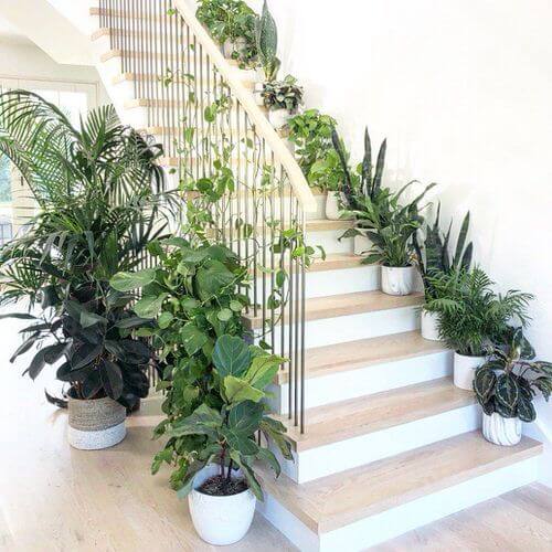 18 Inspiring Green Indoor Gardens On The Staircase - 137