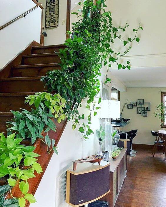 18 Inspiring Green Indoor Gardens On The Staircase - 139