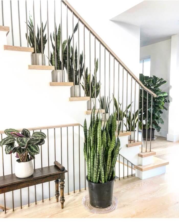 18 Inspiring Green Indoor Gardens On The Staircase - 147