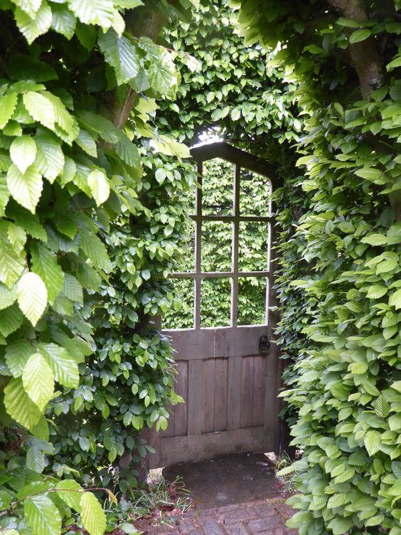 22 Mind-blowing Garden Entrance Ideas