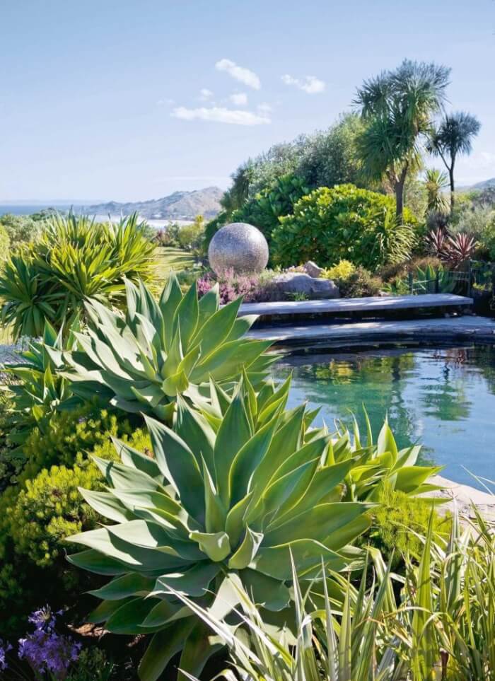 15 Stunning Plants For Pool Landscape - 111