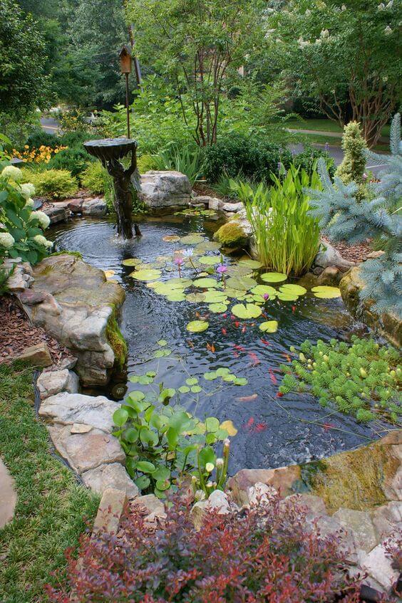 Las 28 mejores ideas hermosas para jardines acuáticos - 179