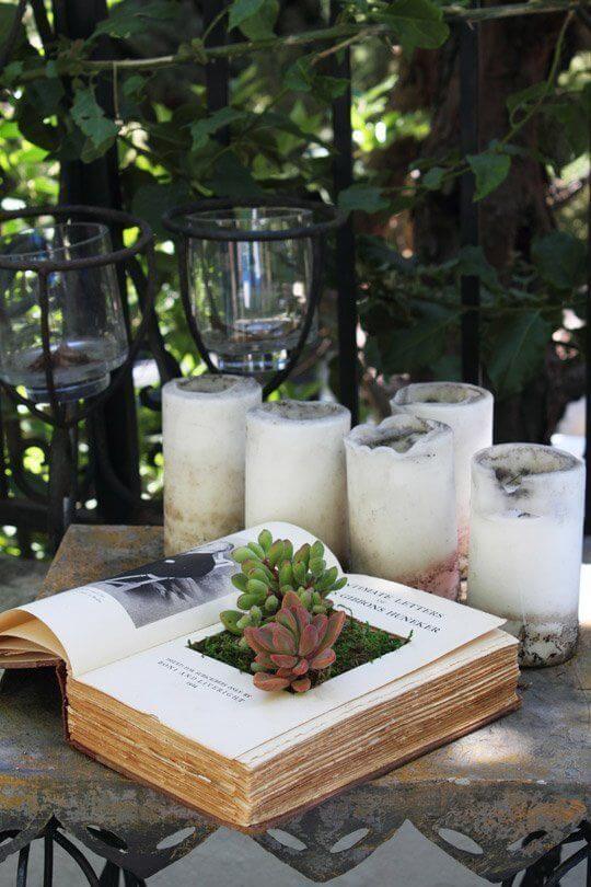 23 Creative DIY Succulent Planter Ideas To Place On Desk And Tabletop - 145