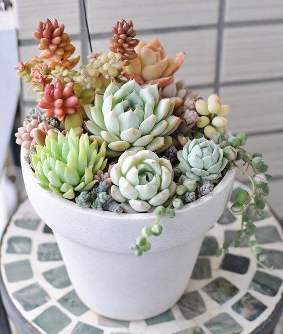 23 Creative DIY Succulent Planter Ideas To Place On Desk And Tabletop - 155