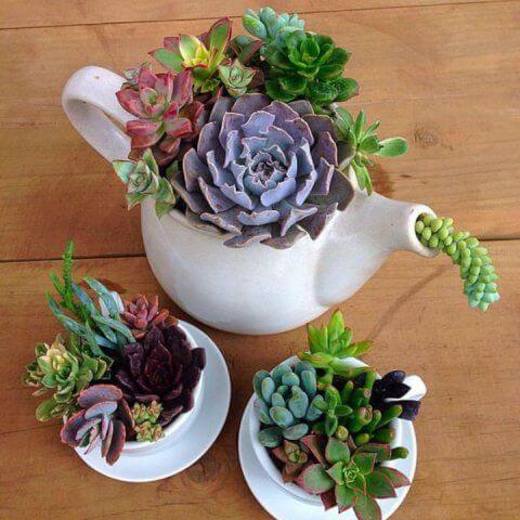 23 Creative DIY Succulent Planter Ideas To Place On Desk And Tabletop - 157
