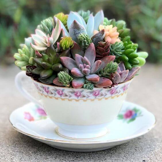 23 Creative DIY Succulent Planter Ideas To Place On Desk And Tabletop - 159