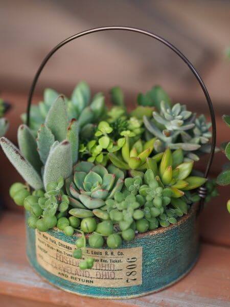 23 Creative DIY Succulent Planter Ideas To Place On Desk And Tabletop - 163
