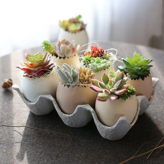 23 Creative DIY Succulent Planter Ideas To Place On Desk And Tabletop - 165