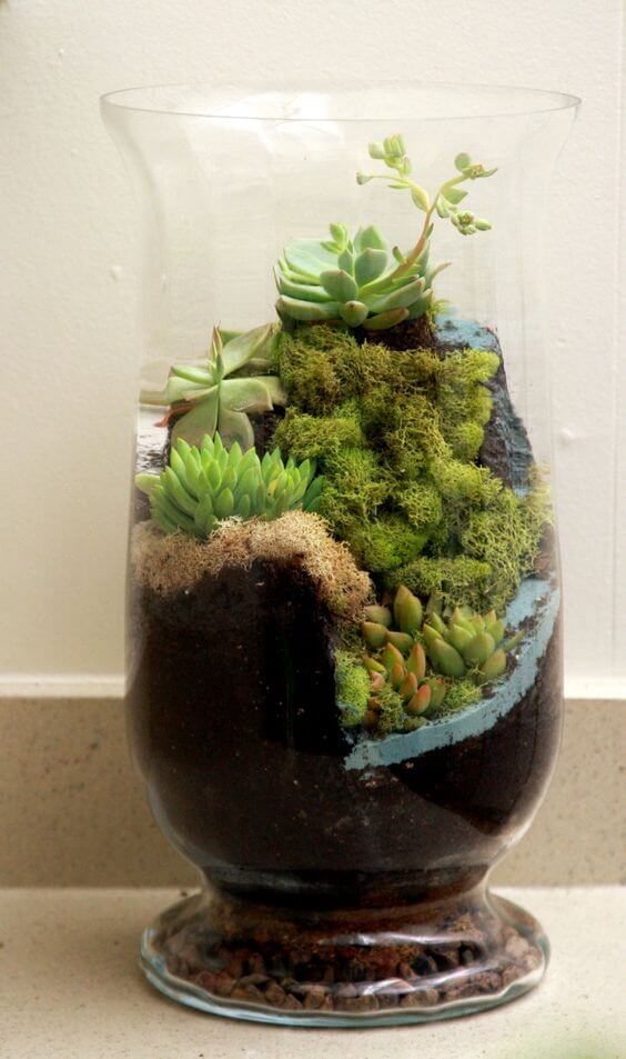 23 Creative DIY Succulent Planter Ideas To Place On Desk And Tabletop - 169