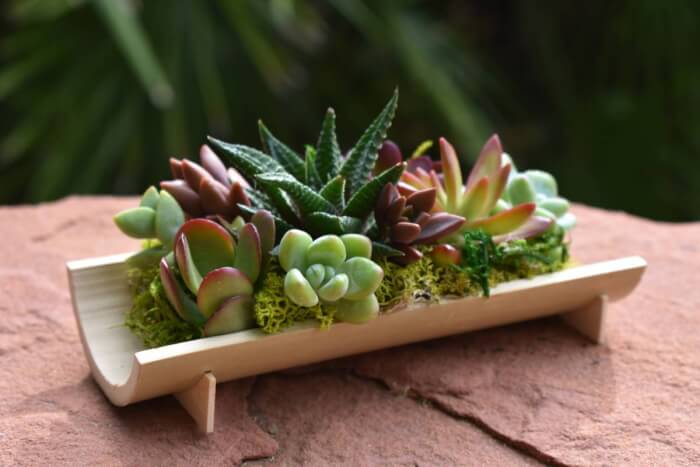 23 Creative DIY Succulent Planter Ideas To Place On Desk And Tabletop - 173