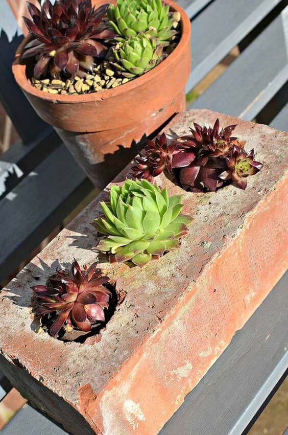 23 Creative DIY Succulent Planter Ideas To Place On Desk And Tabletop - 175