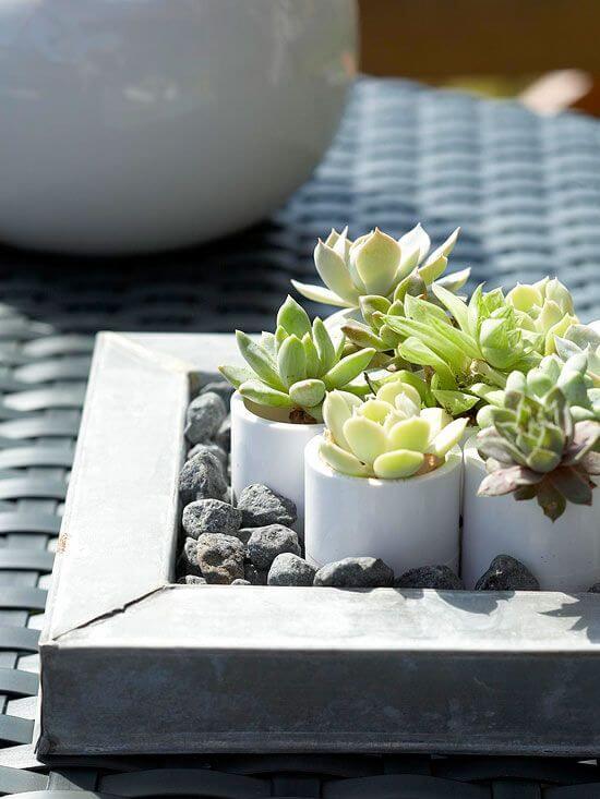 23 Creative DIY Succulent Planter Ideas To Place On Desk And Tabletop - 179