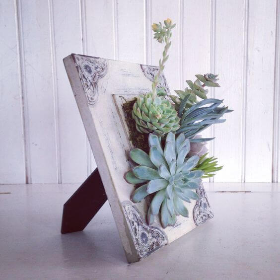 23 Creative DIY Succulent Planter Ideas To Place On Desk And Tabletop - 181